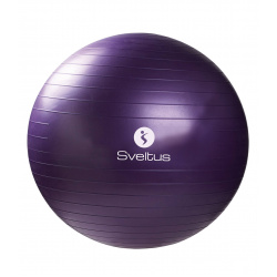 gymball-75cm-parme 1356991822